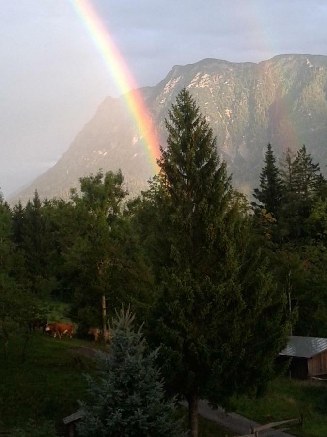Ferienwohnung Am Bauernhof Koa Apartment Bad Goisern