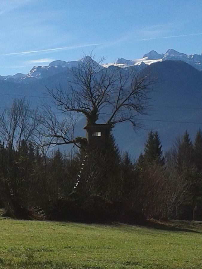 Am Bauernhof Koa Bad Goisern