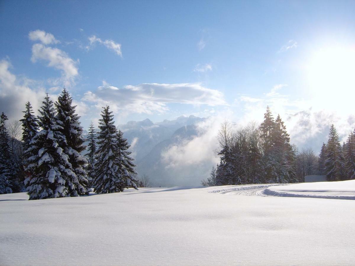 Am Bauernhof Koa Bad Goisern